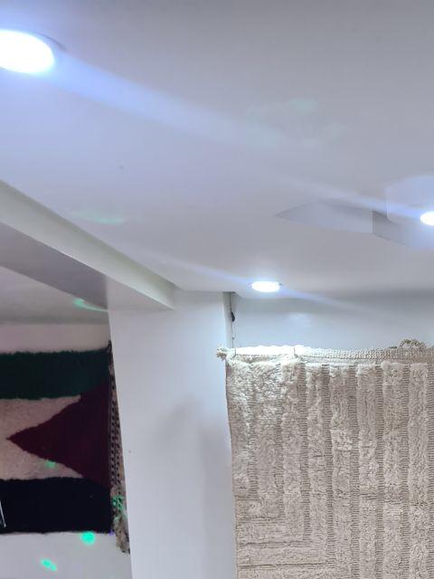 mirzam_white_cream1_2.jpg