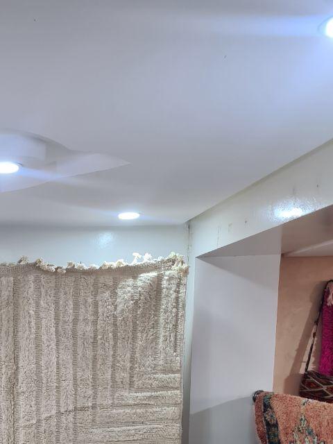 mirzam_white_cream1_3.jpg