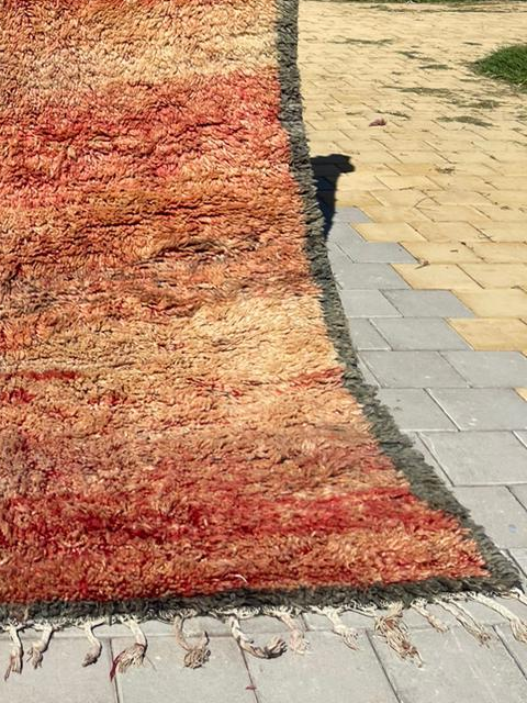 img-20241011-wa0022_5.png